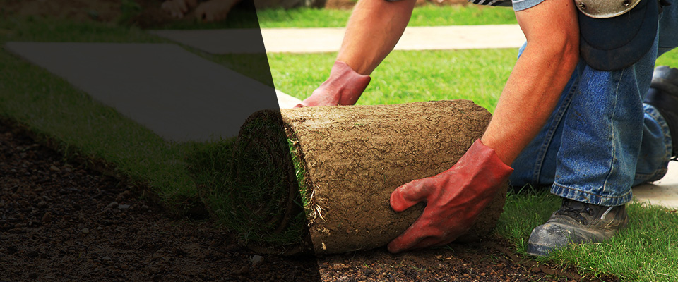 Sweetwater Landscapers